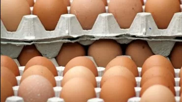 "Am avut acum patru săptămâni din Polonia o problemă". Avertisement din partea ANSVSA. "Ne confruntăm cu faptul că din spațiul UE vin transporturi de ouă a căror origine este necunoscută"