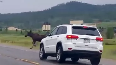 IMAGINI ŞOCANTE: Un SUV loveşte în plin un ELAN, într-unul dintre cele mai DURE accidente filmate (VIDEO)