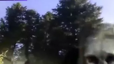 Musafir nepoftit: Un urs a intrat într-un automobil ca să fure mâncare și a rămas captiv (VIDEO)