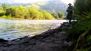 Vidrele de pe râul Bistra, în pericol! Salvează habitatul acestora