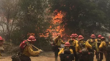 Incendii de vegetație în California: Peste 200 de locuinţe au fost distruse de flăcări, iar alte câteva zeci de mii au fost evacuate (VIDEO)