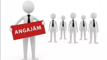 "Nu găsesc oameni care să muncească 8 ore pe zi". Patron: Să nu va închipuiţi că vreau să aibă calificare în domeniu. E pe principiul <Mai bine 5.000 la umbră decât 10.000 la soare>