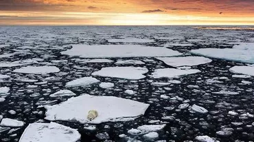 Veşti îngrijorătoare pentru mediu. Gheaţa din Oceanul Arctic este pe cale să atingă cel mai scăzut nivel din istorie până la finalul anului (VIDEO)