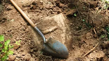 Unei familii din Târgu-Jiu i-au dispărut 29.000 de dolari care erau îngropați în curte. Cine a furat banii