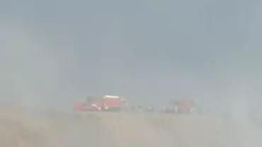 Incendiu la groapa de gunoi de la marginea Bucureștiului: 5 hectare de la Glina cuprinse de flăcări (VIDEO)