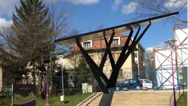 Primul copac digital din România: Care este conceptul din spatele produsului