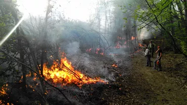 Incendiu de pădure în județul Buzău: Cinci hectare, afectate de flăcări (VIDEO)