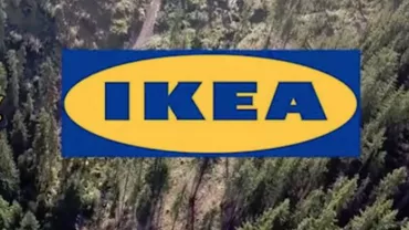 IKEA a mai cumpărat 12.800 de hectare de pădure în România