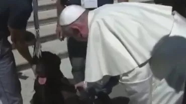 Papa Francisc a binecuvântat un câine care a ajutat la descoperirea a sute de persoane după cutremurul din Amatrice (VIDEO)
