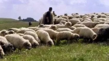 Un istoric bulgar susține că România este o „creație artificială” și că balada Miorița este bulgărească