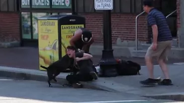 Imagini terifiante cu momentul în care un Pitbull atacă un câine din rasa Beagle: Stăpâna patrupedului atacat a fost prinsă în încăierare (VIDEO)