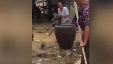 IMAGINI ŞOCANTE: Un câine este fiert de viu de mai mulți bărbați. Un copil a fost martor la oribila scenă (VIDEO)