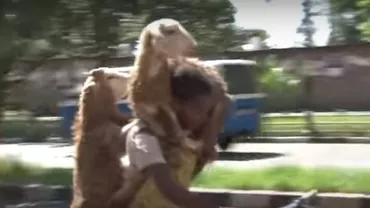 Scenă bizară în trafic: Cum a reușit un biciclist să ducă în spate două oi (VIDEO)