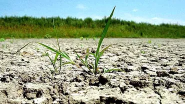 Cea mai gravă secetă din ultimii 30 de ani: Sătenii din Botoșani stau la mila pompierilor pentru apă potabilă