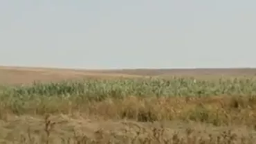 Sute de hectare de teren din judeţul Constanţa au devenit arie protejată, dar nimeni nu știe ce anume trebuie conservat (VIDEO)