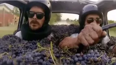 Toamna se numără... litrii de vin. Plăcerea bahică a moldovenilor, ironizată într-un filmuleț de excepție (VIDEO)