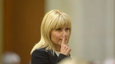 Un actor principal din dosarul penal al Elenei Udrea face dezvăluiri șocante: "Este inacceptabil modul în care se face justitie în țara noastră"