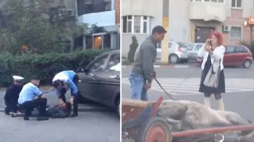 Cruzime fără margini în Constanța: Un cal ce zăcea lovit la pământ a fost bătut cu bestialitate de stăpân (VIDEO)