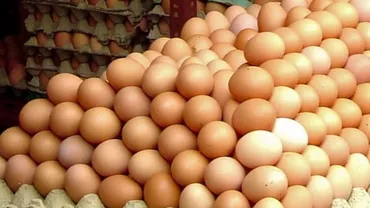 România importă ouă de "cu o prospeţime îndoielnică" din Polonia, în timp ce producătorii autohtoni sunt în pragul falimentului