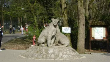 Grădina Zoologică din Târgu Mureș a primit animale pe cale de dispariție (FOTO)