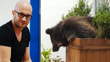 Mihai Bendeac: “Cine e omul să categorisească animalele între <<jambon şi ceafă>>” şi <<vai săracul ursuleţ>>?”