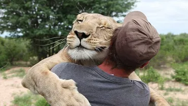Un om a devenit cel mai bun prieten al unui leu după ce l-a salvat de la moarte (FOTO, VIDEO)