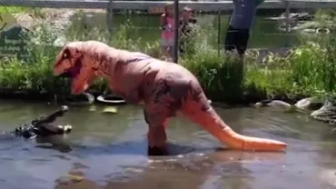 Un bărbat S-A DEGHIZAT în DINOZAUR și a intrat în apa unde se afla un ALIGATOR, pentru a-l ENERVA. VEZI cum a reacționat reptila și ce a urmat (VIDEO)