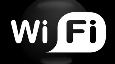 Un tânăr francez, condamnat la închisoare pentru numele pe care i l-a dat reţelei WI-FI