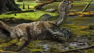 A fost descoperită o nouă specie de dinozaur: Tongtianlong limosus, strămoșul preistoric al păsărilor (VIDEO)