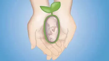 Știai că fertilitatea este influențată de alimentație. Uite ce să consumi în perioada de preconcepție