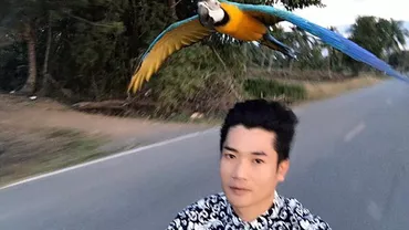 UIMITOR: Un papagal s-a luat la întrecere cu un bărbat pe motocicletă (VIDEO)