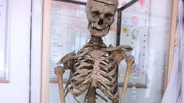 Un dascăl și-a DONAT scheletul pentru a fi folosit ca material didactic de către copii. Află povestea celui care a scos satul din sărăcie, învățând țăranii cum să își vândă recoltele