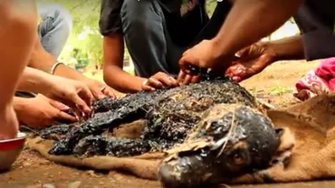 Un câine a căzut în smoală și a rămas lipit de asflat: Un miracolul l-a salvat (VIDEO)