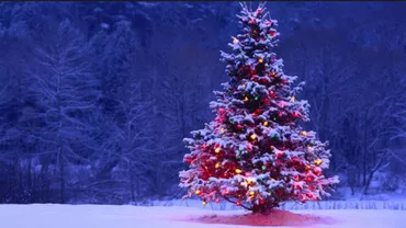 Cum sărbătoresc politicienii: Ce au făcut Traian Băsescu și Elena Udrea cu ocazia Crăciunului (VIDEO)