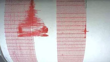 Cutremur cu magnitudinea 6,3 în Japonia