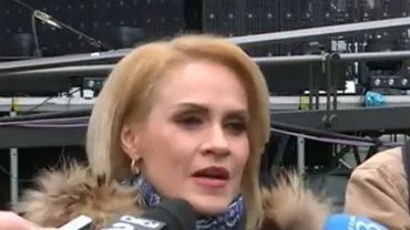 Firea: Grindeanu, un tânăr competent, onest, curajos. Îmi pare rău de Shhaideh. Este un român autentic, un om cu mult bun simț (VIDEO)