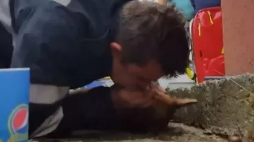 GEST EMOȚIONANT: Cățelul resuscitat cu respirație gură la gură a devenit mascota ISU Mureș (FOTO)