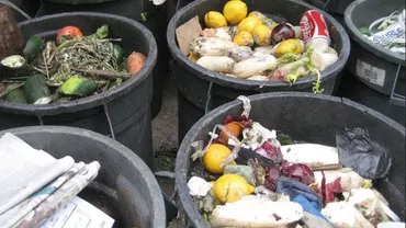 RISIPĂ ALIMENTARĂ: Românii cumpără tone de mâncare pe care le aruncă LA GUNOI după Sărbători