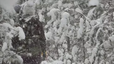 RAVAGII în estul și centrul Europei: Germania, Austria si Polonia, afectate de furtuni care ar putea provoca URAGANE. 16.000 de locuințe, lăsate FĂRĂ CURENT (FOTO)