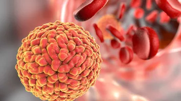 VIRUSUL ZIKA: El Salvador a înregistrat 7.598 cazuri suspecte în 2016