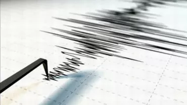Un nou cutremur s-a înregistrat joi noapte în Vrancea!