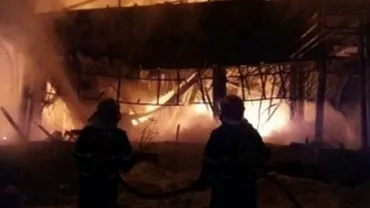 EROINA din BAMBOO, noi detalii despre seara incendiului: Am protejat şi protejăm pe toată lumea când intră la noi în club