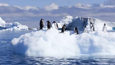197 de ani de la descoperirea Antarcticii. România poate revendica 15% din Antarctica
