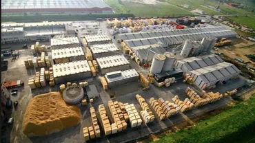 Activitatea Holzindustrie Schweighofer va fi supravegheată de Ministerul Apelor și Pădurilor după ce Forest Stewardship Council a dezafiliat compania pentru defrișări ilegale (VIDEO)