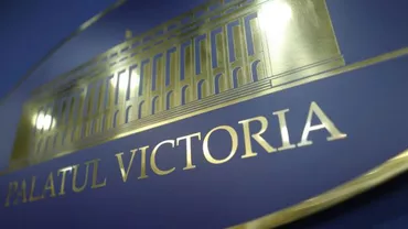 Cine ar putea fi purtătorul de cuvânt al Guvernului PSD-ALDE