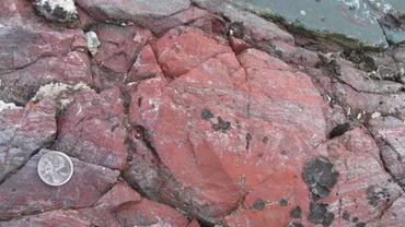 Au fost descoperite cele mai vechi microfosile din lume, cu o vârstă estimată între 3,77 și 4,29 miliarde de ani