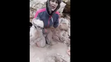 Vânătorul a ajuns vânat: Jurnalist sub tirul opiniei publice, după ce a capturat două hiene (VIDEO ȘOCANT)