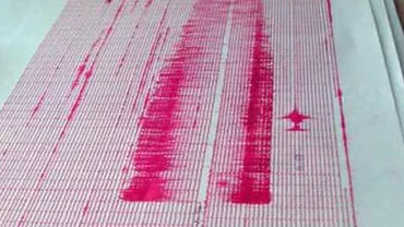 Un cutremur cu magnitudinea 4,2 s-a produs în zona Vrancea