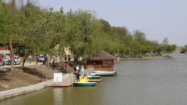 Dezastru ecologic: Mai multe substanţe toxice au ajuns în lacul Ciric din Iași (VIDEO)