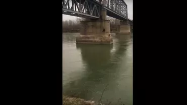 Pompierii au salvat un câine de la înec. Patrupedul a rămas blocat pe piciorul unui pod (VIDEO)